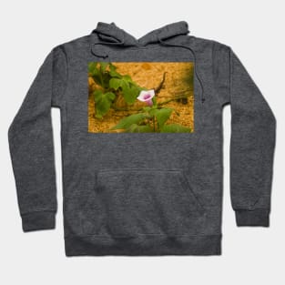 blla sweet potato bloom Hoodie